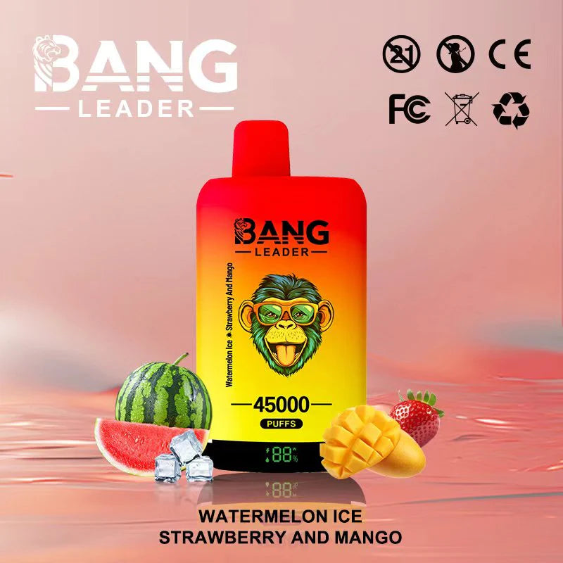 Bang Leader 45.000 Puffs - Vape 2 en 1