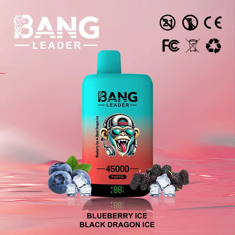 Bang Leader 45.000 Puffs - Vape 2 en 1