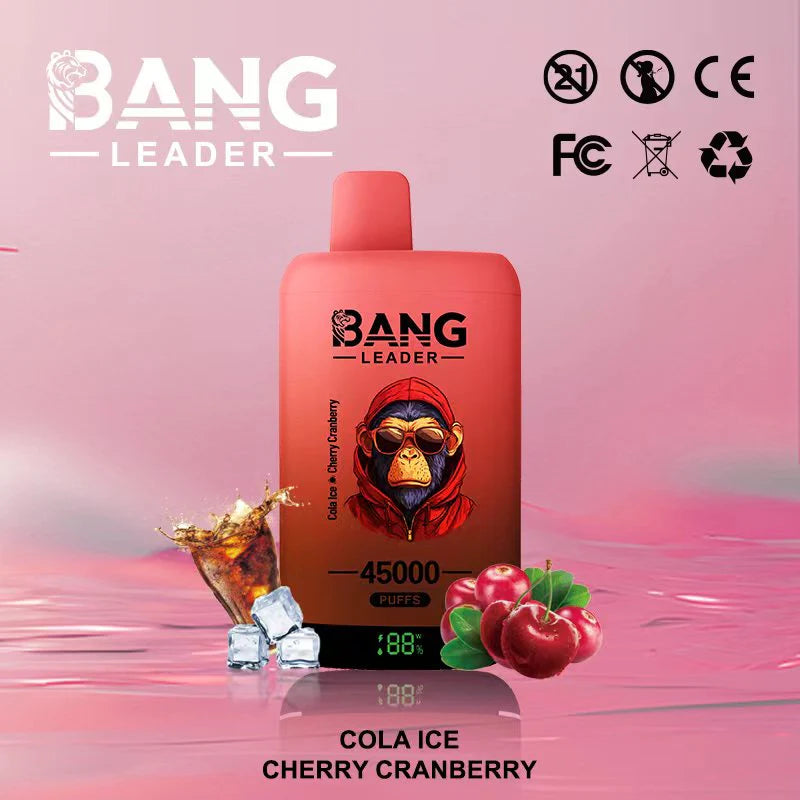 Bang Leader 45.000 Puffs - Vape 2 en 1