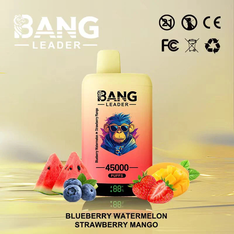 Bang Leader 45.000 Puffs - Vape 2 en 1