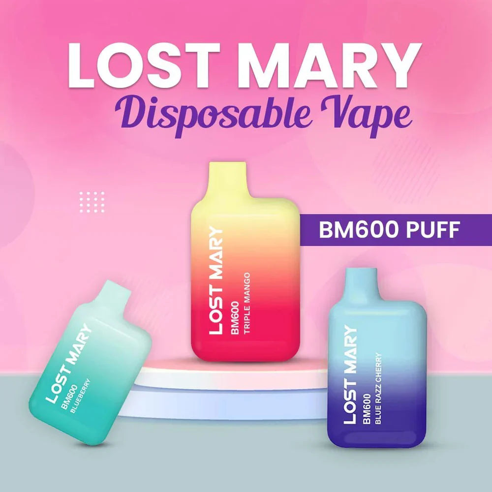 LOST MARY