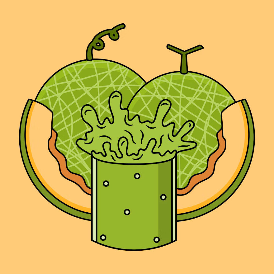 MELÓN 🍈