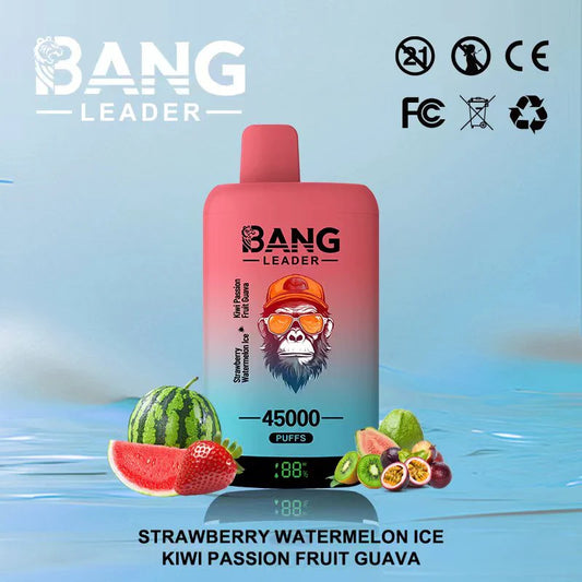 Bang Leader 45.000 Puffs - Vape 2 en 1