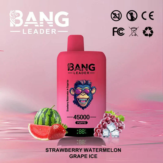 Bang Leader 45.000 Puffs - Vape 2 en 1